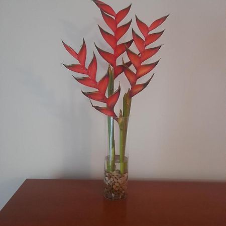 Recanto Da Madeira. Apartment ริเบรา บราวา ภายนอก รูปภาพ